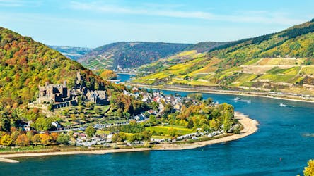 Ticket for Rhine castle cruise from Rüdesheim